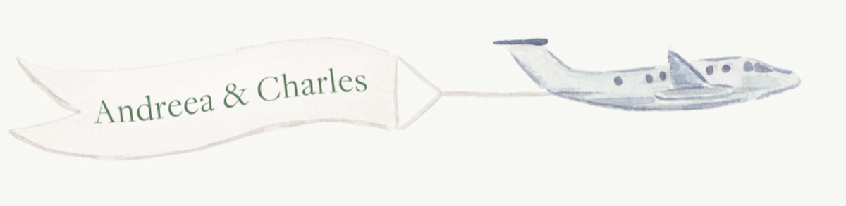 Watercolour plane towing a banner that reads Andreea & Charles
